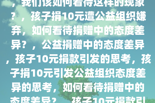 孩子捐10元公益组织嫌抠拒收，我们该如何看待这样的现象？，孩子捐10元遭公益组织嫌弃，如何看待捐赠中的态度差异？，公益捐赠中的态度差异，孩子10元捐款引发的思考，孩子捐10元引发公益组织态度差异的思考，如何看待捐赠中的态度差异？，孩子10元捐款引发公益态度反思