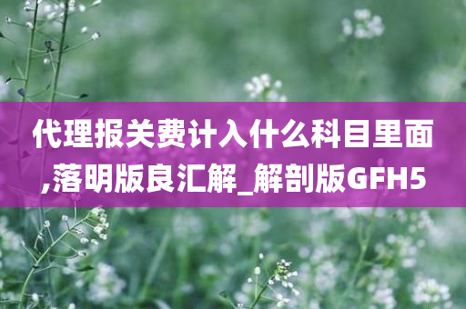 代理报关费计入什么科目里面,落明版良汇解_解剖版GFH5