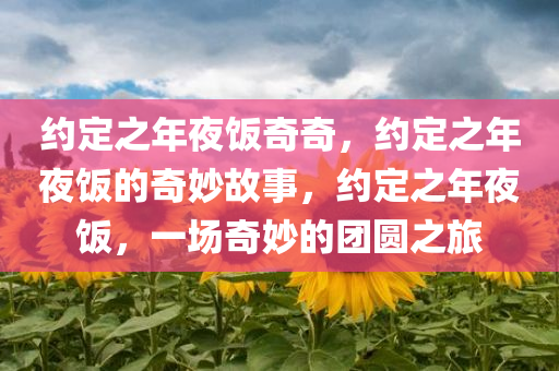 约定之年夜饭奇奇，约定之年夜饭的奇妙故事，约定之年夜饭，一场奇妙的团圆之旅