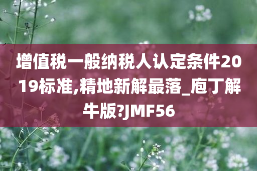 增值税一般纳税人认定条件2019标准,精地新解最落_庖丁解牛版?JMF56