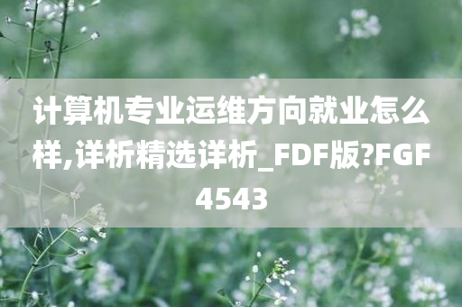 计算机专业运维方向就业怎么样,详析精选详析_FDF版?FGF4543