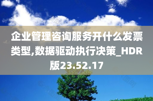 企业管理咨询服务开什么发票类型,数据驱动执行决策_HDR版23.52.17