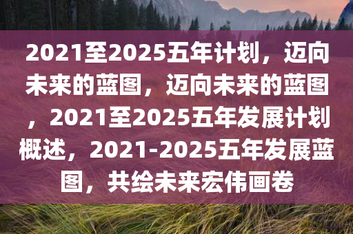 2021至2025五年计划，迈向未来的蓝图，迈向未来的蓝图，2021至2025五年发展计划概述，2021-2025五年发展蓝图，共绘未来宏伟画卷