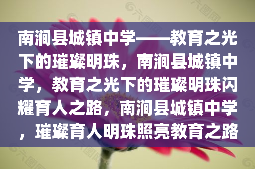 南涧县城镇中学——教育之光下的璀璨明珠，南涧县城镇中学，教育之光下的璀璨明珠闪耀育人之路，南涧县城镇中学，璀璨育人明珠照亮教育之路