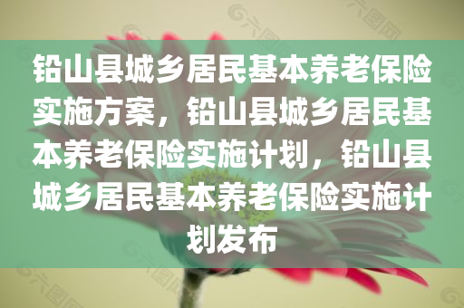 铅山县城乡居民基本养老保险实施方案，铅山县城乡居民基本养老保险实施计划，铅山县城乡居民基本养老保险实施计划发布