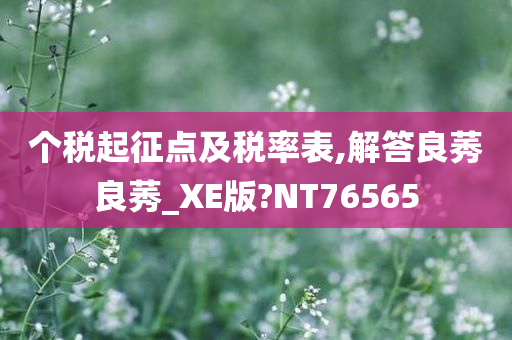 个税起征点及税率表,解答良莠良莠_XE版?NT76565