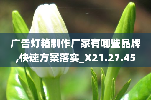 广告灯箱制作厂家有哪些品牌,快速方案落实_X21.27.45