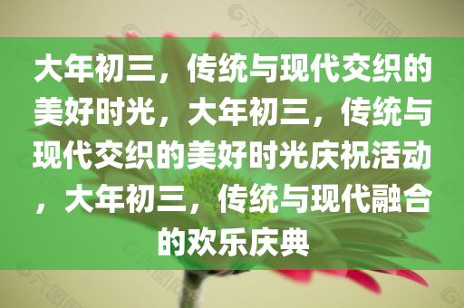 大年初三，传统与现代交织的美好时光，大年初三，传统与现代交织的美好时光庆祝活动，大年初三，传统与现代融合的欢乐庆典