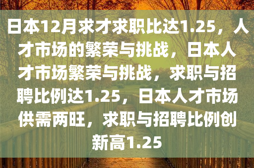 日本12月求才求职比达1.25，人才市场的繁荣与挑战，日本人才市场繁荣与挑战，求职与招聘比例达1.25，日本人才市场供需两旺，求职与招聘比例创新高1.25