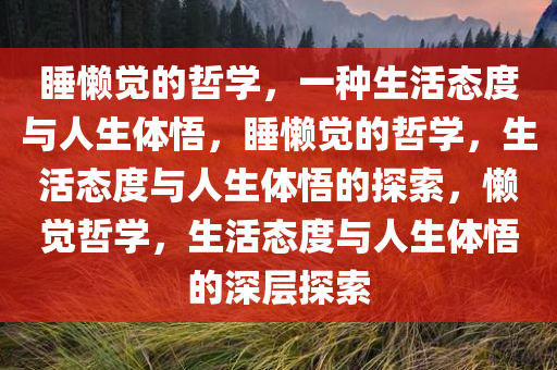 睡懒觉的哲学，一种生活态度与人生体悟，睡懒觉的哲学，生活态度与人生体悟的探索，懒觉哲学，生活态度与人生体悟的深层探索