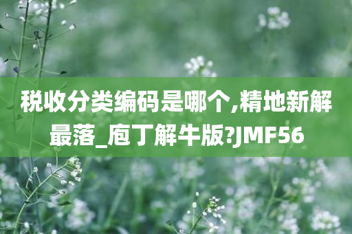 税收分类编码是哪个,精地新解最落_庖丁解牛版?JMF56