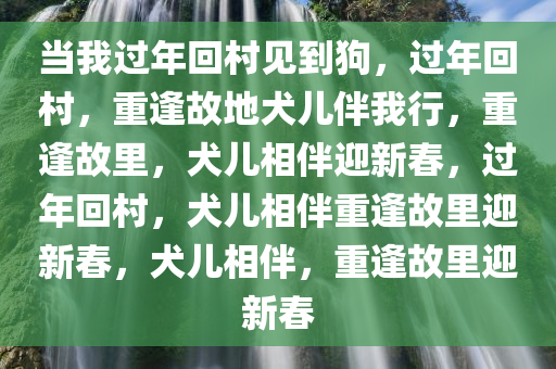 当我过年回村见到狗，过年回村，重逢故地犬儿伴我行，重逢故里，犬儿相伴迎新春，过年回村，犬儿相伴重逢故里迎新春，犬儿相伴，重逢故里迎新春