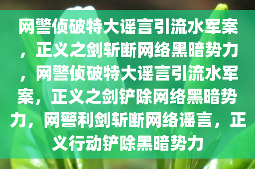 网警侦破特大谣言引流水军案，正义之剑斩断网络黑暗势力，网警侦破特大谣言引流水军案，正义之剑铲除网络黑暗势力，网警利剑斩断网络谣言，正义行动铲除黑暗势力