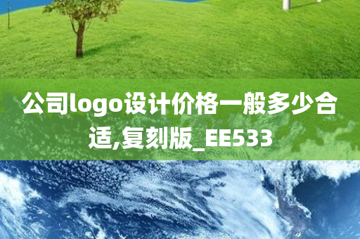 公司logo设计价格一般多少合适,复刻版_EE533