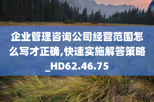 企业管理咨询公司经营范围怎么写才正确,快速实施解答策略_HD62.46.75