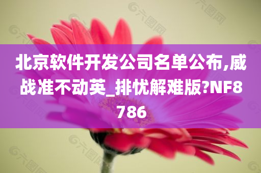 北京软件开发公司名单公布,威战准不动英_排忧解难版?NF8786