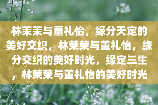 林茉茉与董礼怡，缘分天定的美好交织，林茉茉与董礼怡，缘分交织的美好时光，缘定三生，林茉茉与董礼怡的美好时光