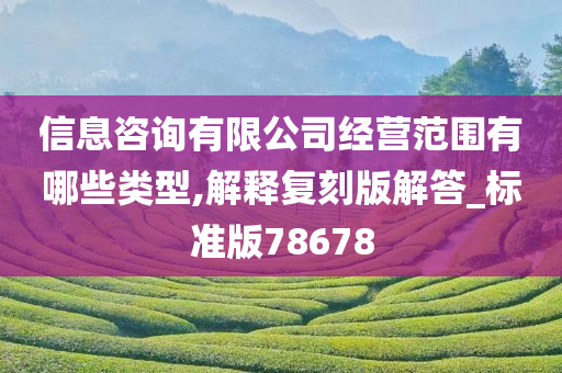 信息咨询有限公司经营范围有哪些类型,解释复刻版解答_标准版78678