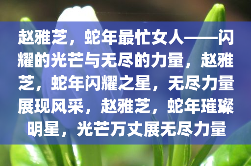 赵雅芝，蛇年最忙女人——闪耀的光芒与无尽的力量，赵雅芝，蛇年闪耀之星，无尽力量展现风采，赵雅芝，蛇年璀璨明星，光芒万丈展无尽力量