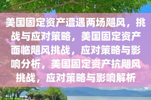 美国固定资产遭遇两场飓风，挑战与应对策略，美国固定资产面临飓风挑战，应对策略与影响分析，美国固定资产抗飓风挑战，应对策略与影响解析