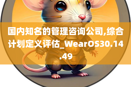 国内知名的管理咨询公司,综合计划定义评估_WearOS30.14.49