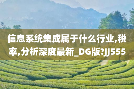 信息系统集成属于什么行业,税率,分析深度最新_DG版?JJ555