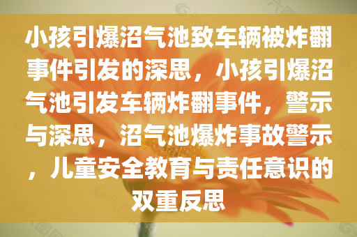 小孩引爆沼气池致车辆被炸翻事件引发的深思，小孩引爆沼气池引发车辆炸翻事件，警示与深思，沼气池爆炸事故警示，儿童安全教育与责任意识的双重反思