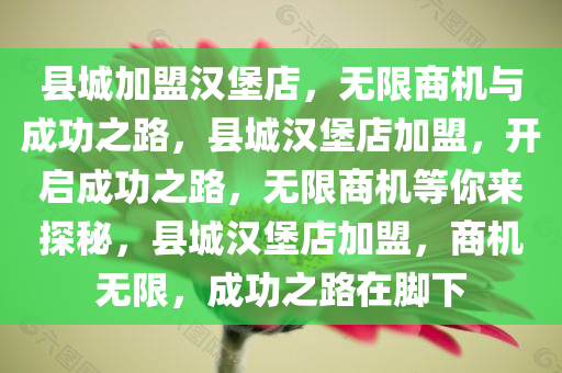 县城加盟汉堡店，无限商机与成功之路，县城汉堡店加盟，开启成功之路，无限商机等你来探秘，县城汉堡店加盟，商机无限，成功之路在脚下