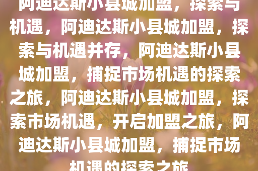 阿迪达斯小县城加盟，探索与机遇，阿迪达斯小县城加盟，探索与机遇并存，阿迪达斯小县城加盟，捕捉市场机遇的探索之旅，阿迪达斯小县城加盟，探索市场机遇，开启加盟之旅，阿迪达斯小县城加盟，捕捉市场机遇的探索之旅