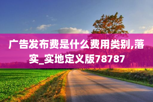 广告发布费是什么费用类别,落实_实地定义版78787