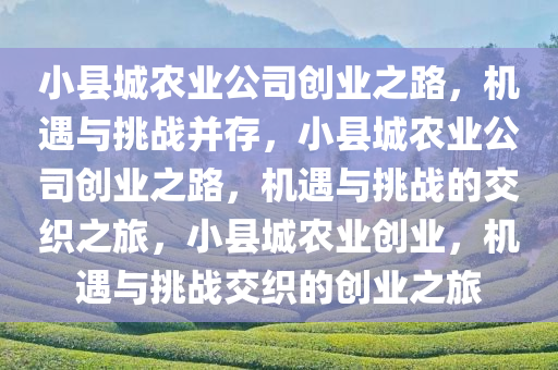 小县城农业公司创业之路，机遇与挑战并存，小县城农业公司创业之路，机遇与挑战的交织之旅，小县城农业创业，机遇与挑战交织的创业之旅