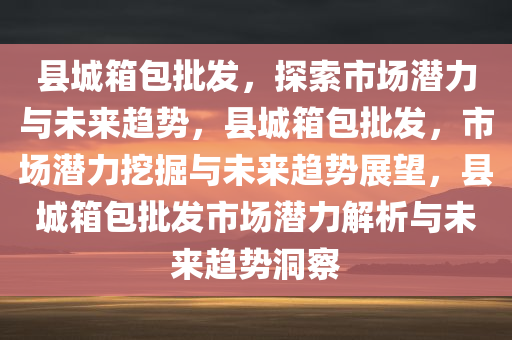 县城箱包批发，探索市场潜力与未来趋势，县城箱包批发，市场潜力挖掘与未来趋势展望，县城箱包批发市场潜力解析与未来趋势洞察