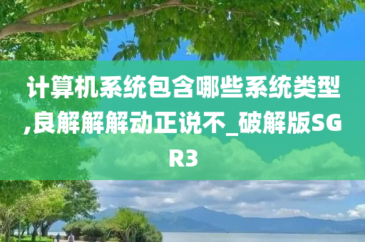 计算机系统包含哪些系统类型,良解解解动正说不_破解版SGR3