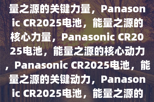 Panasonic CR2025电池，能量之源的关键力量，Panasonic CR2025电池，能量之源的核心力量，Panasonic CR2025电池，能量之源的核心动力，Panasonic CR2025电池，能量之源的关键动力，Panasonic CR2025电池，能量之源的核心动力源泉