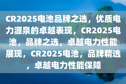 CR2025电池品牌之选，优质电力源泉的卓越表现，CR2025电池，品牌之选，卓越电力性能展现，CR2025电池，品牌精选，卓越电力性能保障