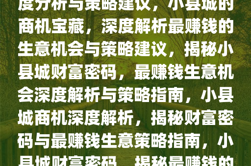 小县城最赚钱的生意机会，深度分析与策略建议，小县城的商机宝藏，深度解析最赚钱的生意机会与策略建议，揭秘小县城财富密码，最赚钱生意机会深度解析与策略指南，小县城商机深度解析，揭秘财富密码与最赚钱生意策略指南，小县城财富密码，揭秘最赚钱的生意机会与策略指南