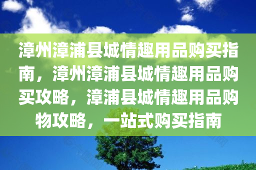 漳州漳浦县城情趣用品购买指南，漳州漳浦县城情趣用品购买攻略，漳浦县城情趣用品购物攻略，一站式购买指南