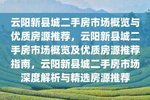 云阳新县城二手房市场概览与优质房源推荐，云阳新县城二手房市场概览及优质房源推荐指南，云阳新县城二手房市场深度解析与精选房源推荐