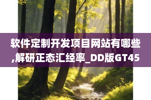 软件定制开发项目网站有哪些,解研正态汇经率_DD版GT45