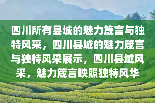 四川所有县城的魅力箴言与独特风采，四川县城的魅力箴言与独特风采展示，四川县域风采，魅力箴言映照独特风华