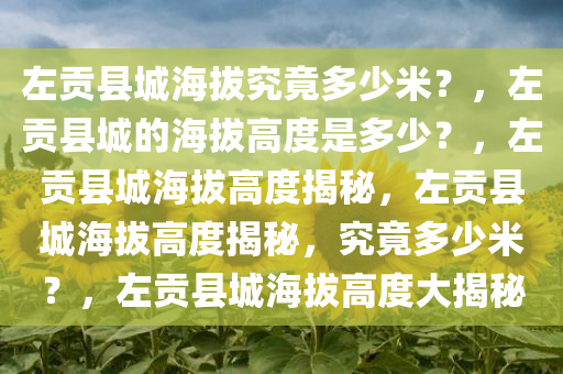 左贡县城海拔究竟多少米？，左贡县城的海拔高度是多少？，左贡县城海拔高度揭秘，左贡县城海拔高度揭秘，究竟多少米？，左贡县城海拔高度大揭秘