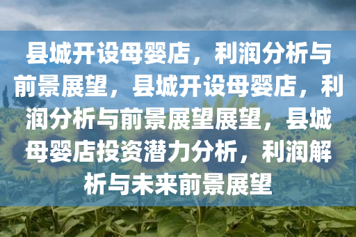 县城开设母婴店，利润分析与前景展望，县城开设母婴店，利润分析与前景展望展望，县城母婴店投资潜力分析，利润解析与未来前景展望