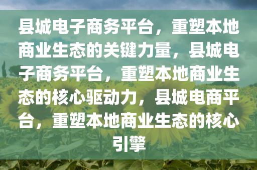 县城电子商务平台，重塑本地商业生态的关键力量，县城电子商务平台，重塑本地商业生态的核心驱动力，县城电商平台，重塑本地商业生态的核心引擎