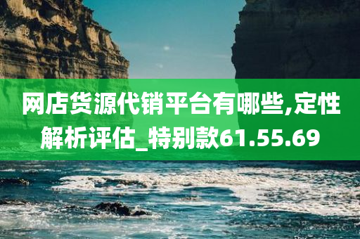 网店货源代销平台有哪些,定性解析评估_特别款61.55.69