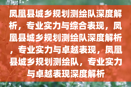 凤凰县城乡规划测绘队深度解析，专业实力与综合表现，凤凰县城乡规划测绘队深度解析，专业实力与卓越表现，凤凰县城乡规划测绘队，专业实力与卓越表现深度解析