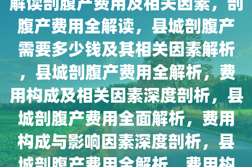 县城剖腹产要花多少钱？全面解读剖腹产费用及相关因素，剖腹产费用全解读，县城剖腹产需要多少钱及其相关因素解析，县城剖腹产费用全解析，费用构成及相关因素深度剖析，县城剖腹产费用全面解析，费用构成与影响因素深度剖析，县城剖腹产费用全解析，费用构成与影响因素深度剖析