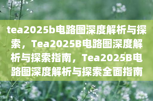 tea2025b电路图深度解析与探索，Tea2025B电路图深度解析与探索指南，Tea2025B电路图深度解析与探索全面指南