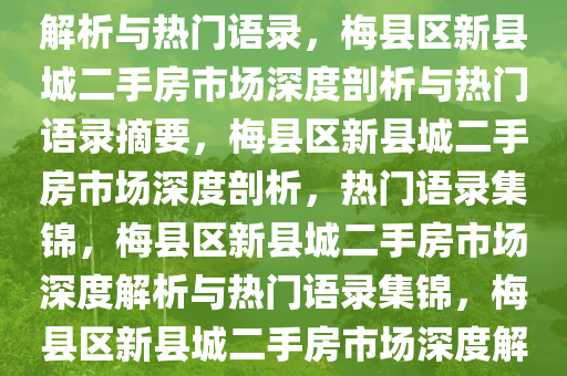 梅县区新县城二手房市场深度解析与热门语录，梅县区新县城二手房市场深度剖析与热门语录摘要，梅县区新县城二手房市场深度剖析，热门语录集锦，梅县区新县城二手房市场深度解析与热门语录集锦，梅县区新县城二手房市场深度解析，热门语录集锦