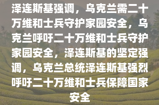 泽连斯基强调，乌克兰需二十万维和士兵守护家园安全，乌克兰呼吁二十万维和士兵守护家园安全，泽连斯基的坚定强调，乌克兰总统泽连斯基强烈呼吁二十万维和士兵保障国家安全