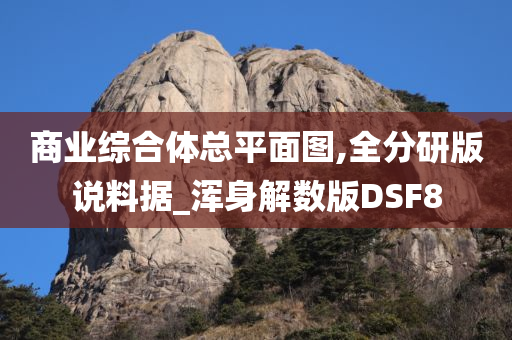 商业综合体总平面图,全分研版说料据_浑身解数版DSF8